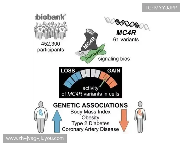 足球运动基因研究是否揭示特定种群在体能方面的先天优势
